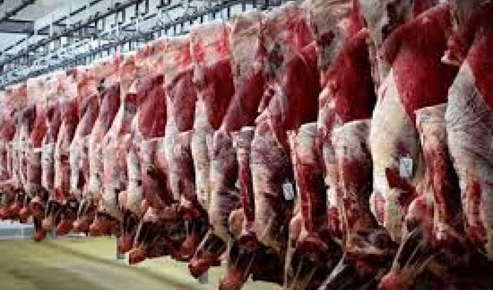 مدیرعامل اتحادیه دامداران: سود 40 درصدی دلالان از هر کیلو گوشت!