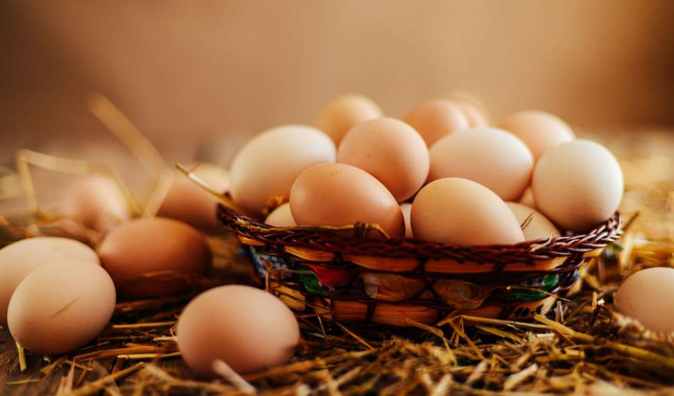 هر شانه تخم مرغ 31 هزار تومان/با تداوم فعلی صادرات کمبود عرضه بیشتر می‌شود