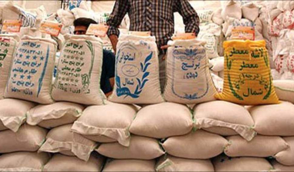 برنج؛ گنجی بی‌وفا برای شالیکاران!/ دود پا پس کشیدن‌های دولت در چشم کشاورزان می‌رود