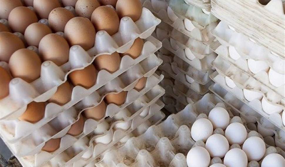 کاهش 5 هزار تومانی هر شانه تخم مرغ در بازار مازندران/روند نزولی قیمت ادامه دارد