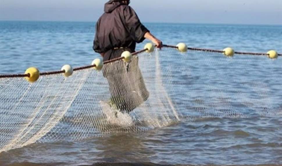 کاهش صید ماهی طی سال‌جاری در مازندران/آلودگی رودخانه‌ها، زادولد ماهیان استخوانی را به حداقل رساند