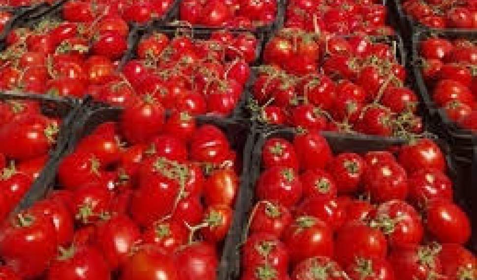نیمی‌ از کامیون‌های گوجه‌فرنگی از مرزهای استان کرمانشاه برگشت داده شد