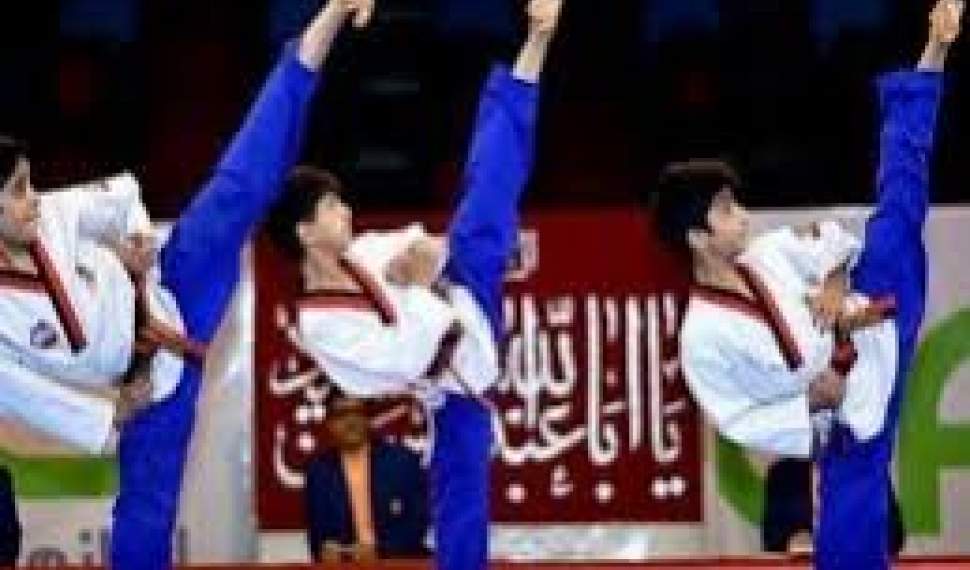 رایزنی ایران با سران ورزش آسیا تلاش برای بازگرداندن کاراته به بازی‌های المپیک