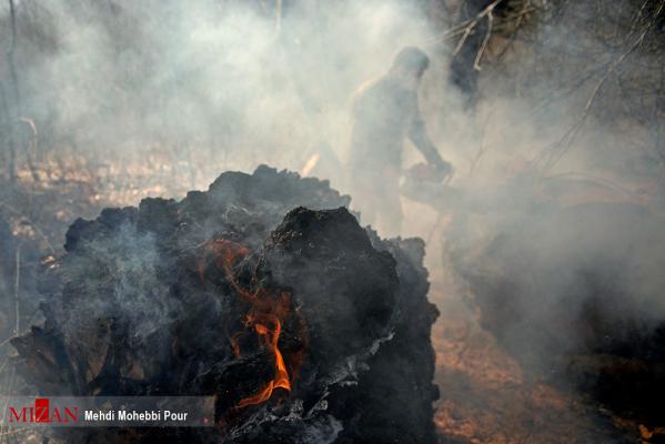 ۱۵ هکتار از عرصه‌های مرتعی و جنگلی مازندران دچار حریق شد/آتش در کمین جنگل‌ها