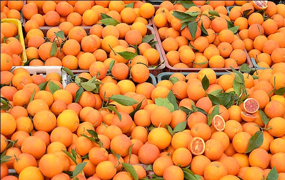 سهم کشاورز از پرتقال 20 هزار تومانی، 5هزار تومان است
