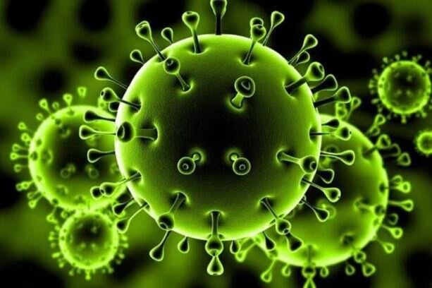 شناسایی ۷ گونه جدید ویروس کرونا