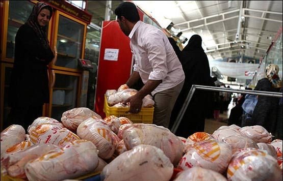 آغاز توزیع مرغ کشتار روز در بازار مازندران/بازرسی از کشتارگاه‌های و واحدهای تولیدی افزایش می‌یابد