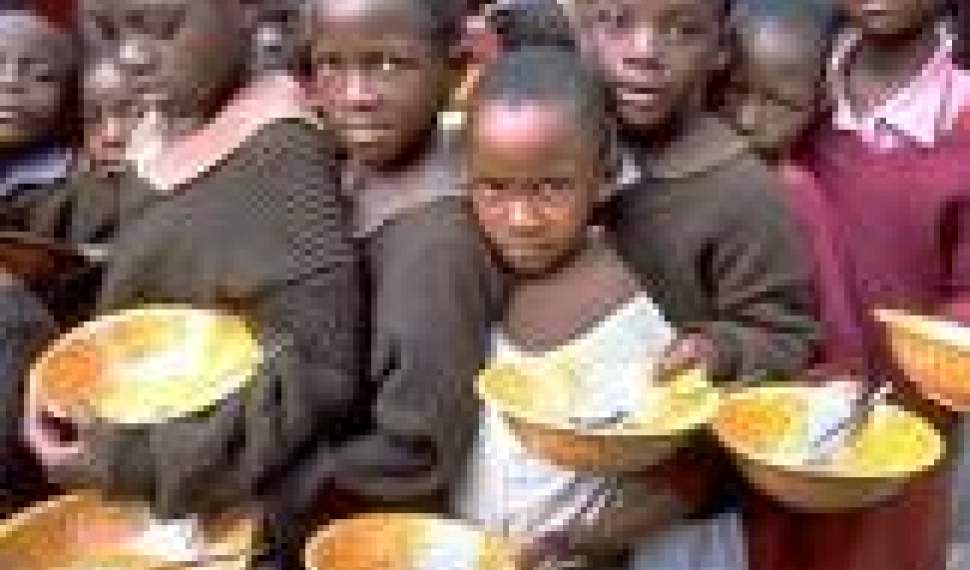 سازمان ملل: افزایش حیرت‌انگیز گرسنگان جهان 88 میلیون انسان غذای کافی برای خوردن ندارند