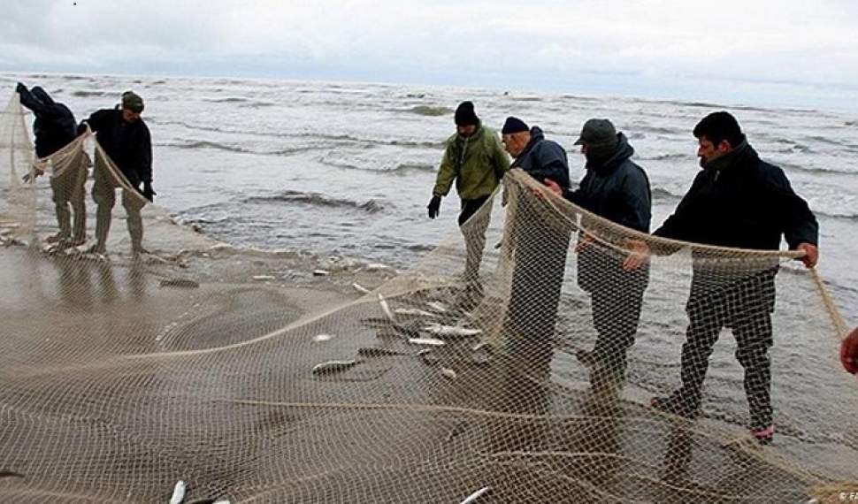 تمدید زمان صید ماهیان استخوانی در استان‌های شمالی کشور