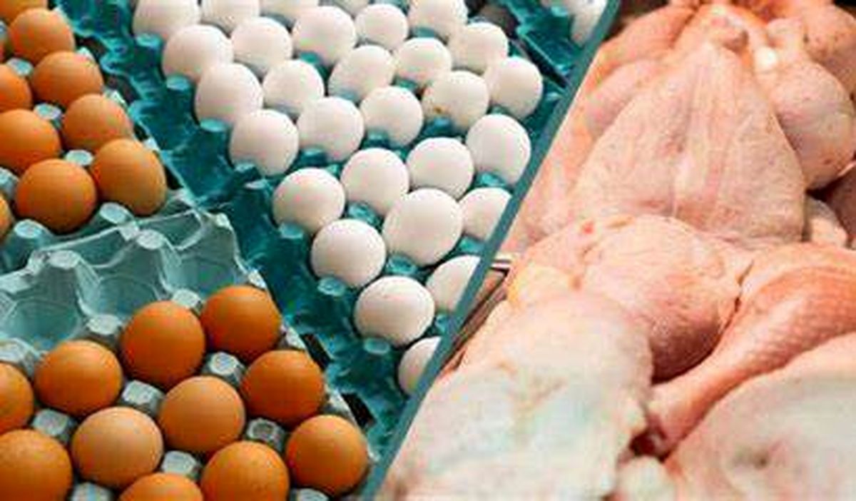 بازار مرغ همچنان می‌لنگد/افزایش قیمت تخم مرغ در خرده فروشی‌ها