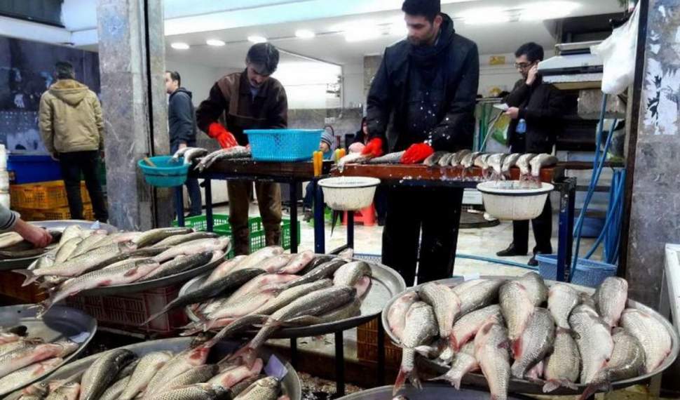 جزئیات گرانی این روزهای ماهی قزل‌آلا/تازه‌ترین قیمت ماهی دریایی و پرورشی در بازار مازندران