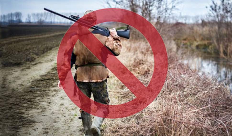 ممنوعیت شکار در مازندران برای دومین سال