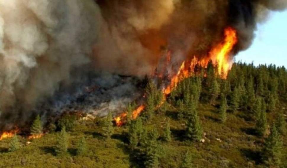 احتمال آتش‌سوزی در مناطق جنگلی و مرتعی مازندران