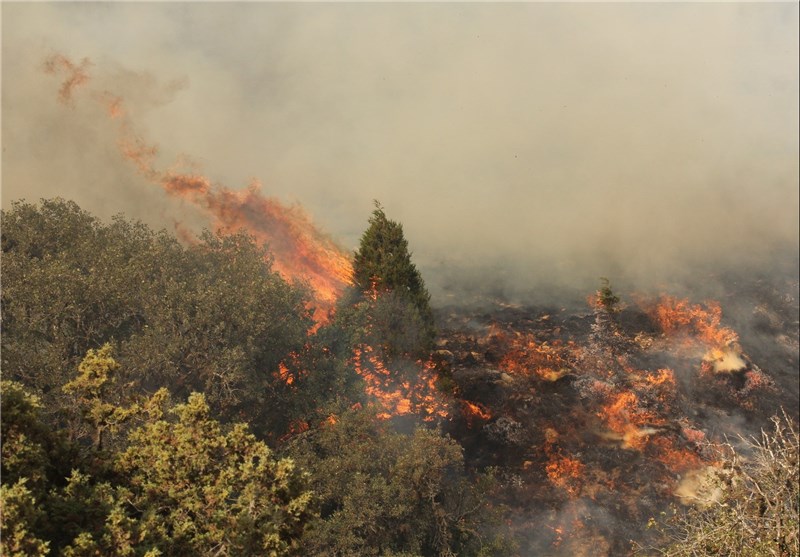 2 هکتار از مراتع و جنگل‌های نکا در آتش سوخت