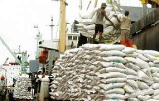 شرکت بازرگانی دولتی ایران: ۱۰۰ هزارتن برنج وارداتی برای کنترل قیمت‌ها توزیع می‌شود