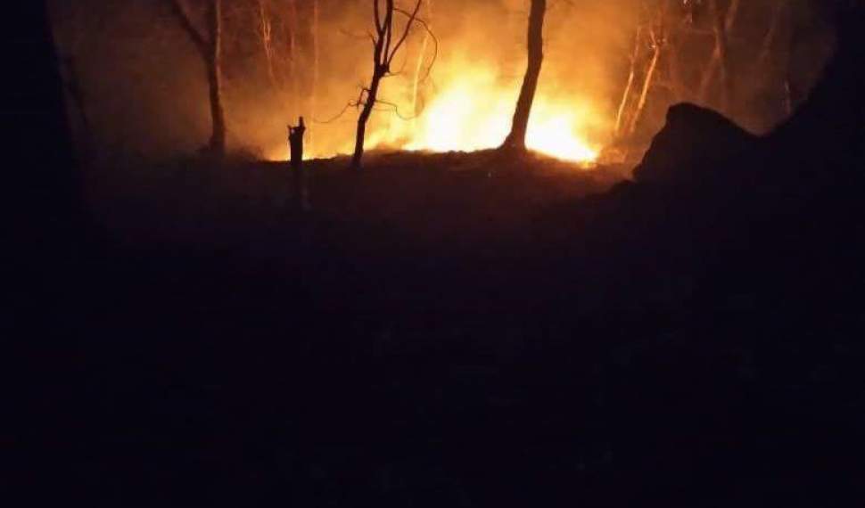مهار آتش‌سوزی در جنگل‌های صفارود رامسر/2 هزار مترمربع عرصه جنگلی خسارت دید