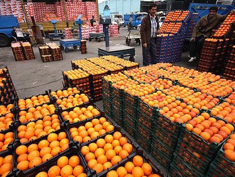 بسته شدن قرارداد خرید 16 هزار تن پرتقال با تولیدکنندگان/مرکبات شب عید از 10 اسفند توزیع می‌شود