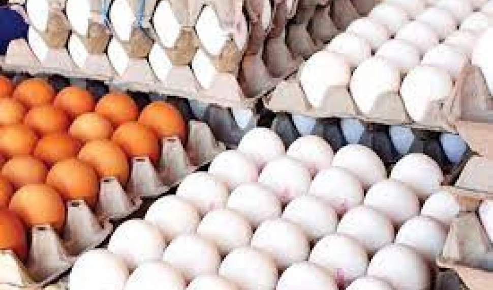 کاهش قیمت تخم‌مرغ درب کارخانه به کیلویی 27 هزار تومان