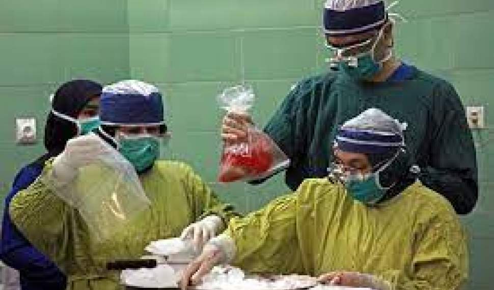 رئیس‌مرکز مدیریت پیوند و درمان بیماری‌های وزارت بهداشت:تا‌کنون 65 هزار ایرانی با دریافت عضو به زندگی بازگشته‌اند