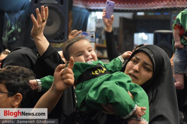 تصاویر/ همایش شیرخوارگان حسینی در آمل  