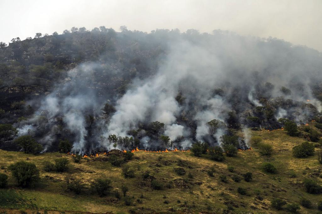 آتش به جان جنگل‌های کیاسر افتاد/عملیات برای مهار حریق همچنان ادامه دارد