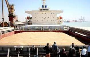 رئیس‌ کمیسیون کشاورزی مجلس: 58 کشتی نهاده دامی در مراحل مختلف واردات است 