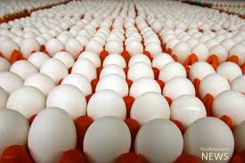 هشدار در کاهش مصرف سرانه تخم‌مرغ در کشور