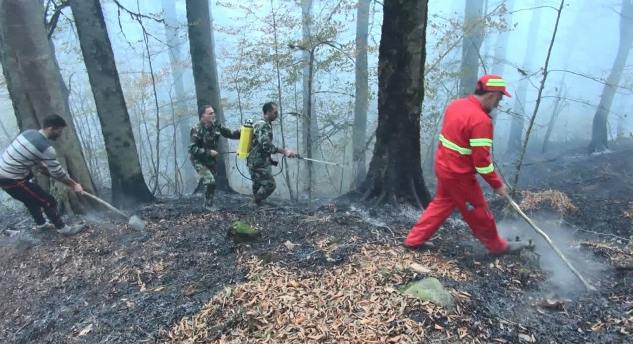 مهار آتش‌سوزی در جنگل‌های عباس آباد/۲۰ هکتار از اراضی جنگلی در آتش سوخت