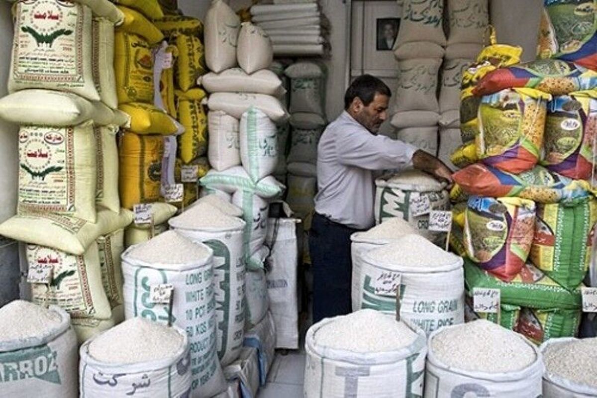 خرید ۹۰ تن برنج ارقام پُرمحصول در مازندران