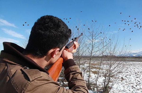 امسال هیچ دستورالعملی برای شکار پرندگان صادر نشد