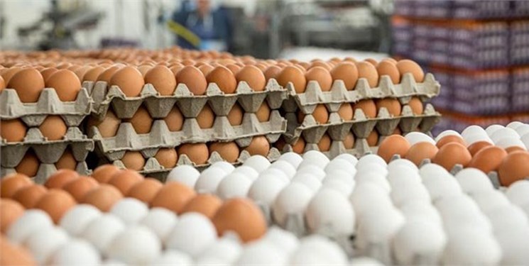 اختلاف فاحش قیمت تخم مرغ درب مرغداری و فروشگاه به جیب چه کسانی می‌رود