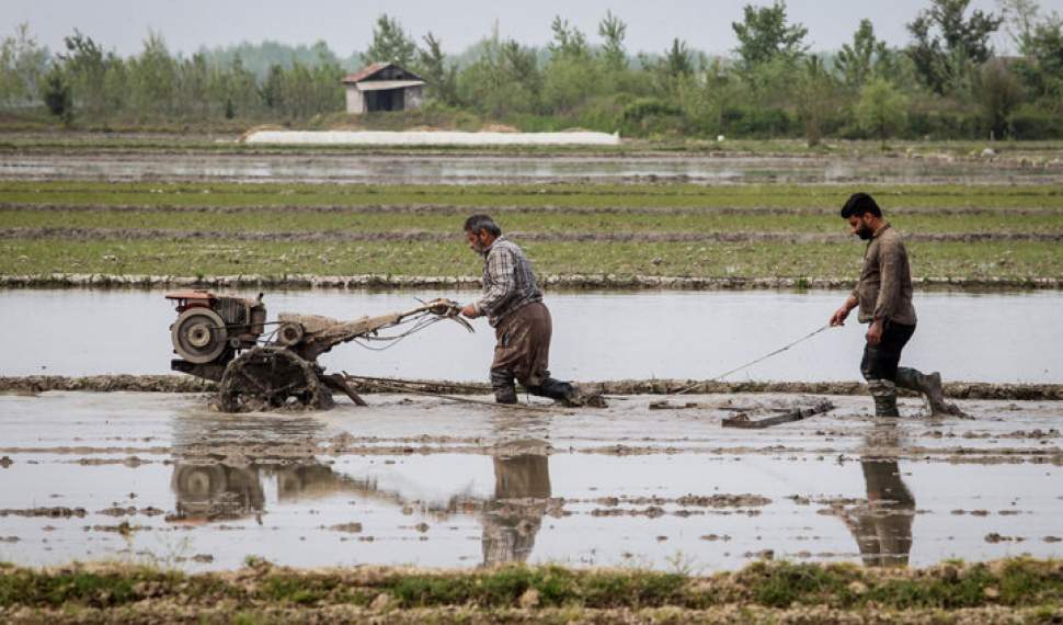 ضعف مبرم مازندران در مهار آب‌های سطحی/کشاورزان برای سال زراعی پیش‌رو نگران هستند