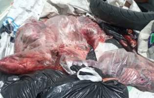 دستگیری اعضای باند توزیع گوشت خوک در آمل
