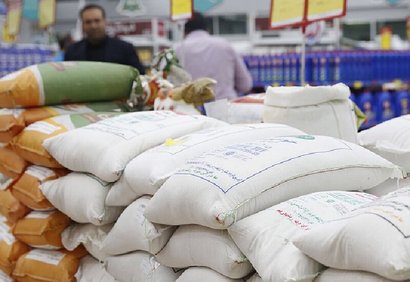 خرید ۲۸ هزار تن برنج از کشاورزان مازندرانی/ توجهی به بازار دلالان حوزه برنج نداریم