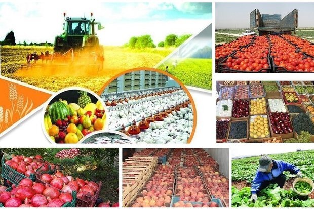نبود صنایع تبدیلی بزرگترین ضعف کشاورزی در مازندران/ صادرات توت‌فرنگی در بند مشکلات