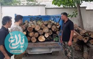 توقیف خودرو نیسان حامل چوب قاچاق در میاندورود