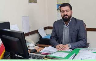 رهاسازی زنبور تریکوگراما در ۱۰۰ هکتار از شالیزار